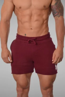 Shorts<Youngla 102 Bodybuilding French Terry Shorts Black|Olive|Burgundy|All Black
